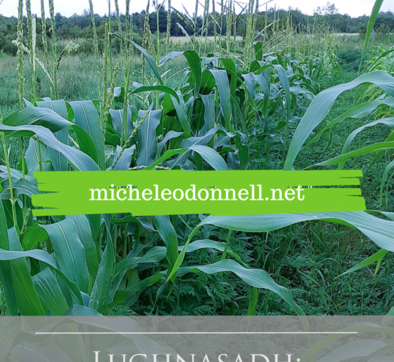 Lughnasadh: Beginning of the Harvest
