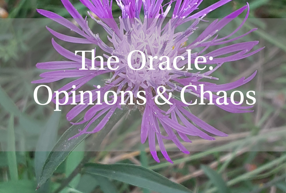 Opinions and Chaos
  