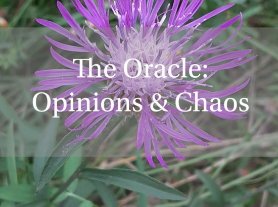 Opinions and Chaos