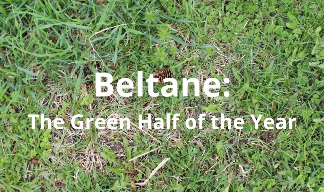 Beltane – The Green Half of the Year
  